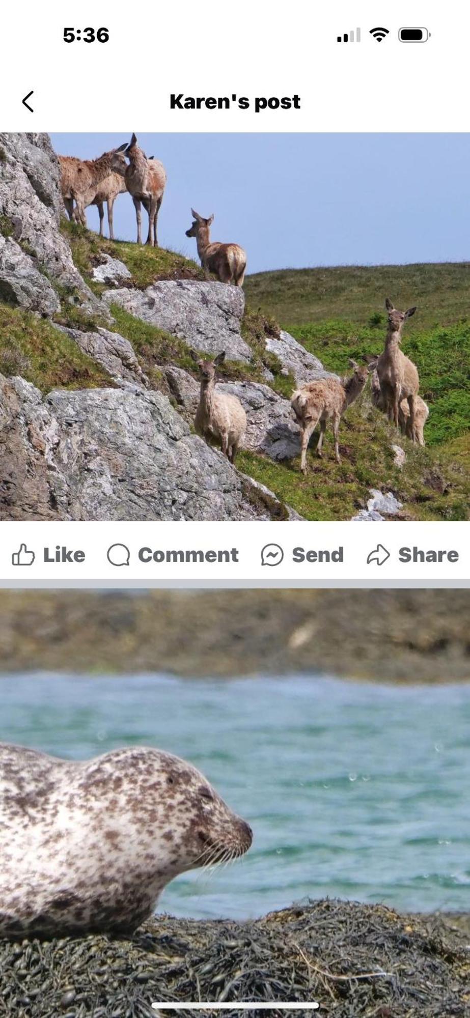 Seas The Day - Self Catering Lodge North Uist Paible Dış mekan fotoğraf